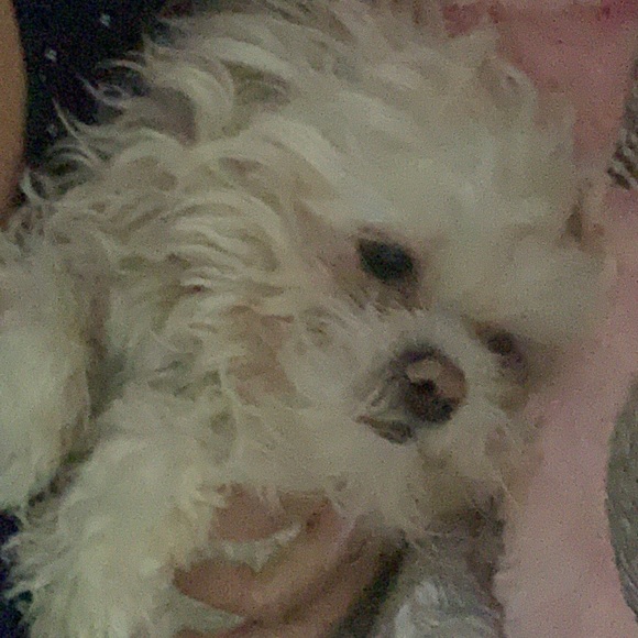 Meet your Posher, Ruth - Picture 1 of 1